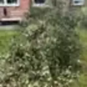 Bild von Vaughan Waste Services