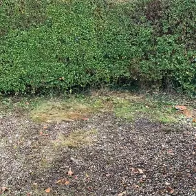 Bild von Vaughan Waste Services