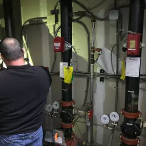 Bild von DynaFire - Miramar