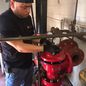 Bild von DynaFire - Miramar