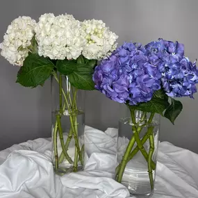 Bild von Bellisima Fiore