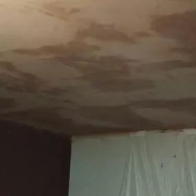 Bild von Dave Haran Plastering