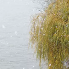 Praktijk voor Osteopathie L V Heuperman