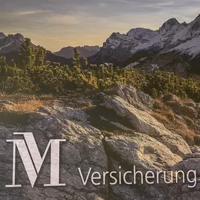 Bild von Christian Gmeiner Mannheimer Generalagentur im Continentale Versicherungsverbund