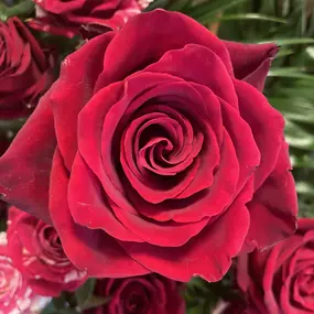 Bild von Floristikfee Christine Wiegand