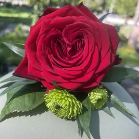 Bild von Floristikfee Christine Wiegand