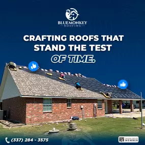 Bild von Blue Monkey Roofing