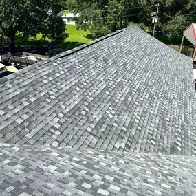 Bild von Blue Monkey Roofing