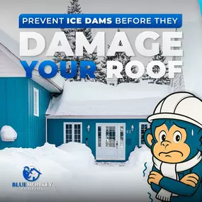 Bild von Blue Monkey Roofing