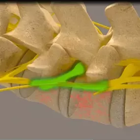 Bild von Align and Balance Chiropractic