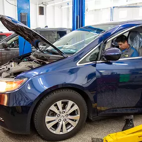 Bild von Shadetree Automotive