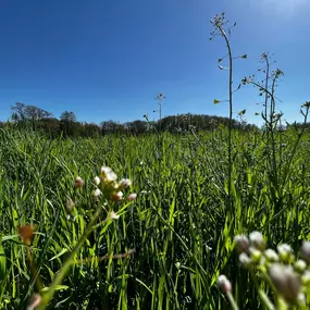 Bild von Good Care Coaching