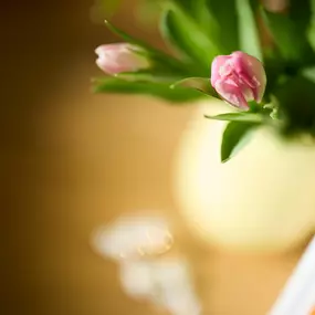 Bild von Praxis für ganzheitliche Paarberatung und Sexualtherapie