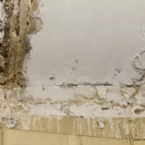 Bild von Morris Restoration LLC