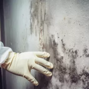 Bild von Morris Restoration LLC