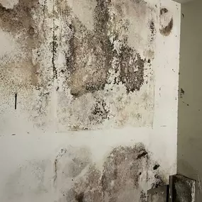 Bild von Onsite Pro Restoration