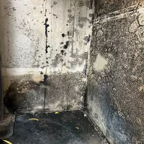 Bild von Onsite Pro Restoration
