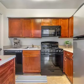 Kitchen with Wooden Cabinets