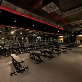 Fitness First Ettlingen - Freeweight Area