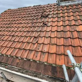 Bild von MTC Roofline