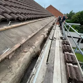 Bild von MTC Roofline