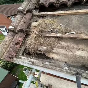 Bild von MTC Roofline