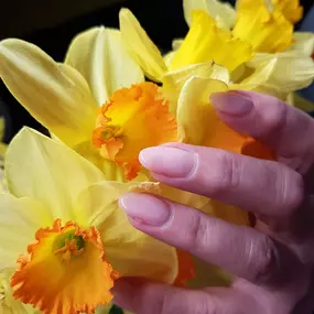 Bild von Annerose Fiedler Kosmetiksalon