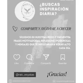 Bild von Raíces y Alas BY ACC