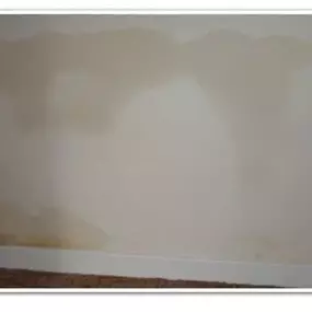 Bild von Essex & Anglia Preservation Ltd