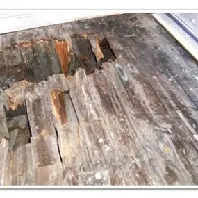 Bild von Essex & Anglia Preservation Ltd