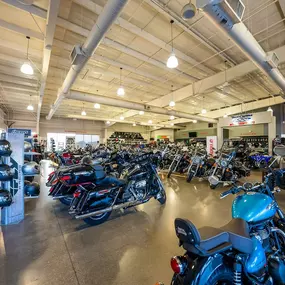 Bild von Fort Collins Motorsports