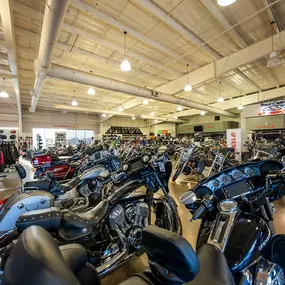 Bild von Fort Collins Motorsports