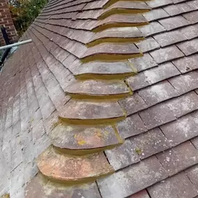 Bild von All Season Roofing