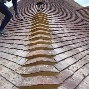 Bild von All Season Roofing