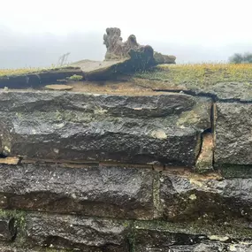 Bild von Exclusive Property Care