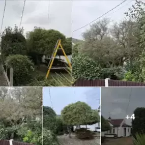 Bild von Exclusive Property Care