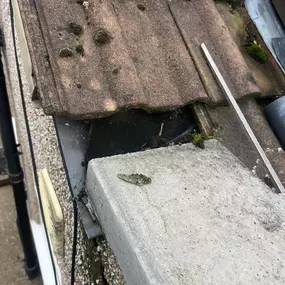 Bild von Exclusive Property Care