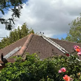 Bild von Exclusive Property Care