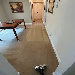 Bild von Elevation Restoration & Floor Cleaning