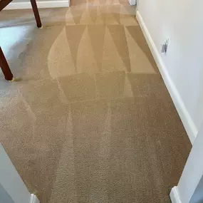 Bild von Elevation Restoration & Floor Cleaning