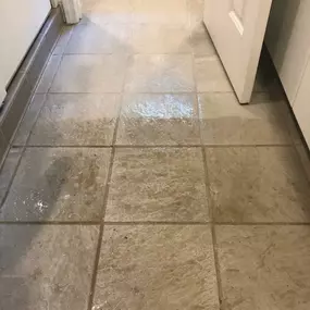 Bild von Elevation Restoration & Floor Cleaning