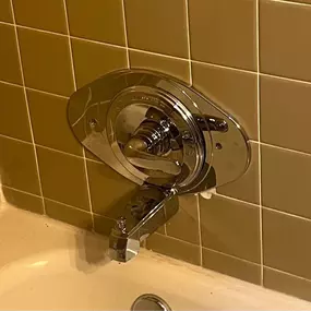 Bathroom Shower Repair