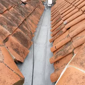Bild von Nelson Property Maintenance Ltd