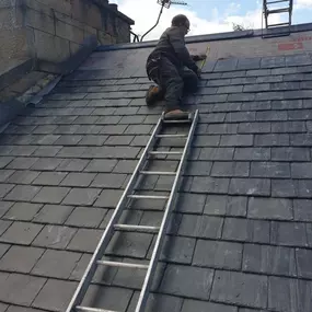 Bild von Nelson Property Maintenance Ltd