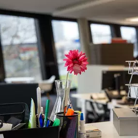 Bild von Baseplus DIGITAL MEDIA GmbH