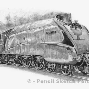 Bild von Pencil Sketch Portraits