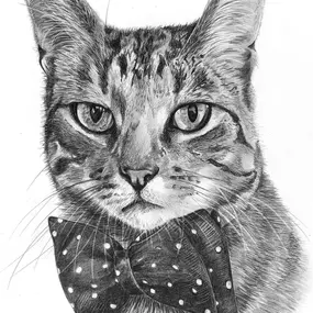 Bild von Pencil Sketch Portraits