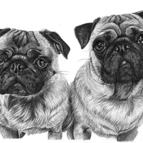 Bild von Pencil Sketch Portraits