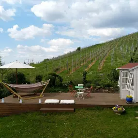 Bild von Grün & mehr