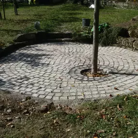 Bild von Grün & mehr